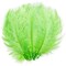 Ostrich Feather Plumes for Crafts, Wedding, Decor (Neon Green, 12-14 in, 12 Pack)